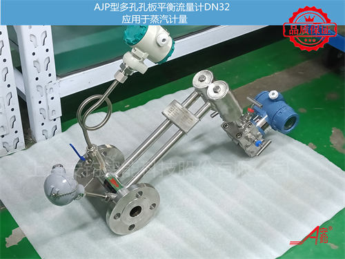 飽和蒸汽計(jì)量多孔平衡流量計(jì)DN20