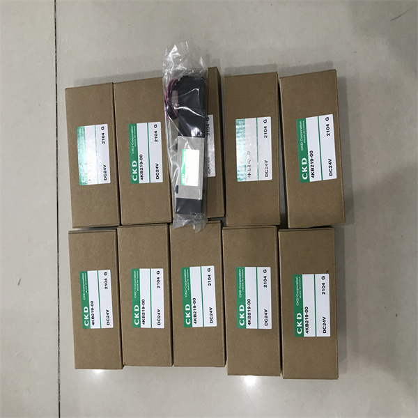 CKD不銹鋼電磁閥AB41-02-1-N3J-DC24V