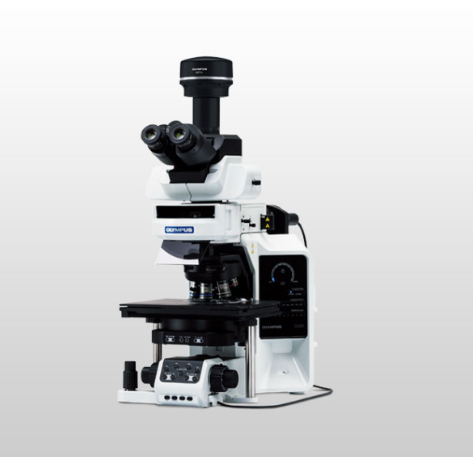 OLYMPUS  奧林巴斯  BX63  電動(dòng)熒光顯微鏡