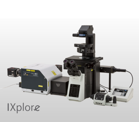 OLYMPUS  奧林巴斯   IXplore SpinSR  分辨顯微鏡系統(tǒng)