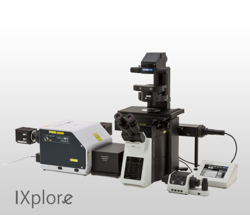 OLYMPUS  奧林巴斯  IXplore Spin   共聚焦成像顯微鏡系統(tǒng)