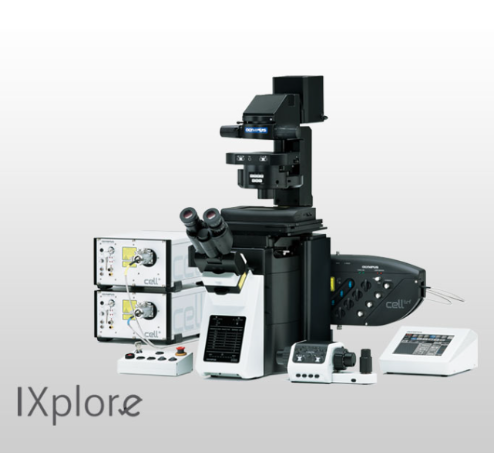 OLYMPUS  奧林巴斯 IXplore TIRF  全內(nèi)反射熒光顯微成像系統(tǒng)
