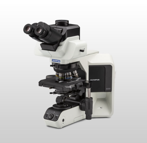 OLYMPUS  奧林巴斯 BX53(LED)   顯微鏡系統(tǒng)
