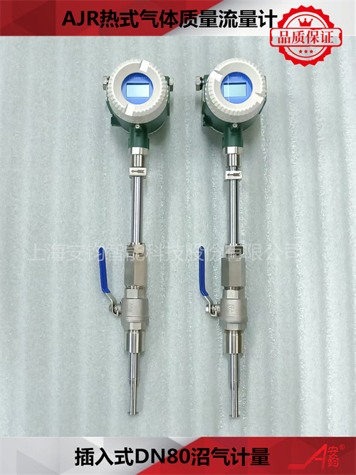 熱式氣體質(zhì)量流量計DN800測量氫氣