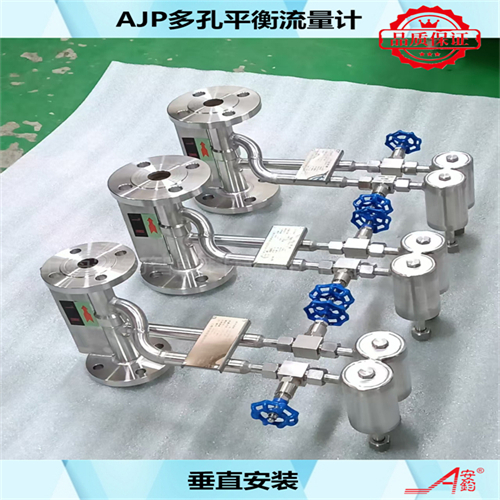 飽和蒸汽計(jì)量多孔平衡流量計(jì)DN400