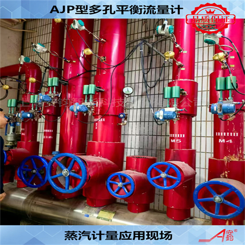 飽和蒸汽計量多孔平衡流量計DN300