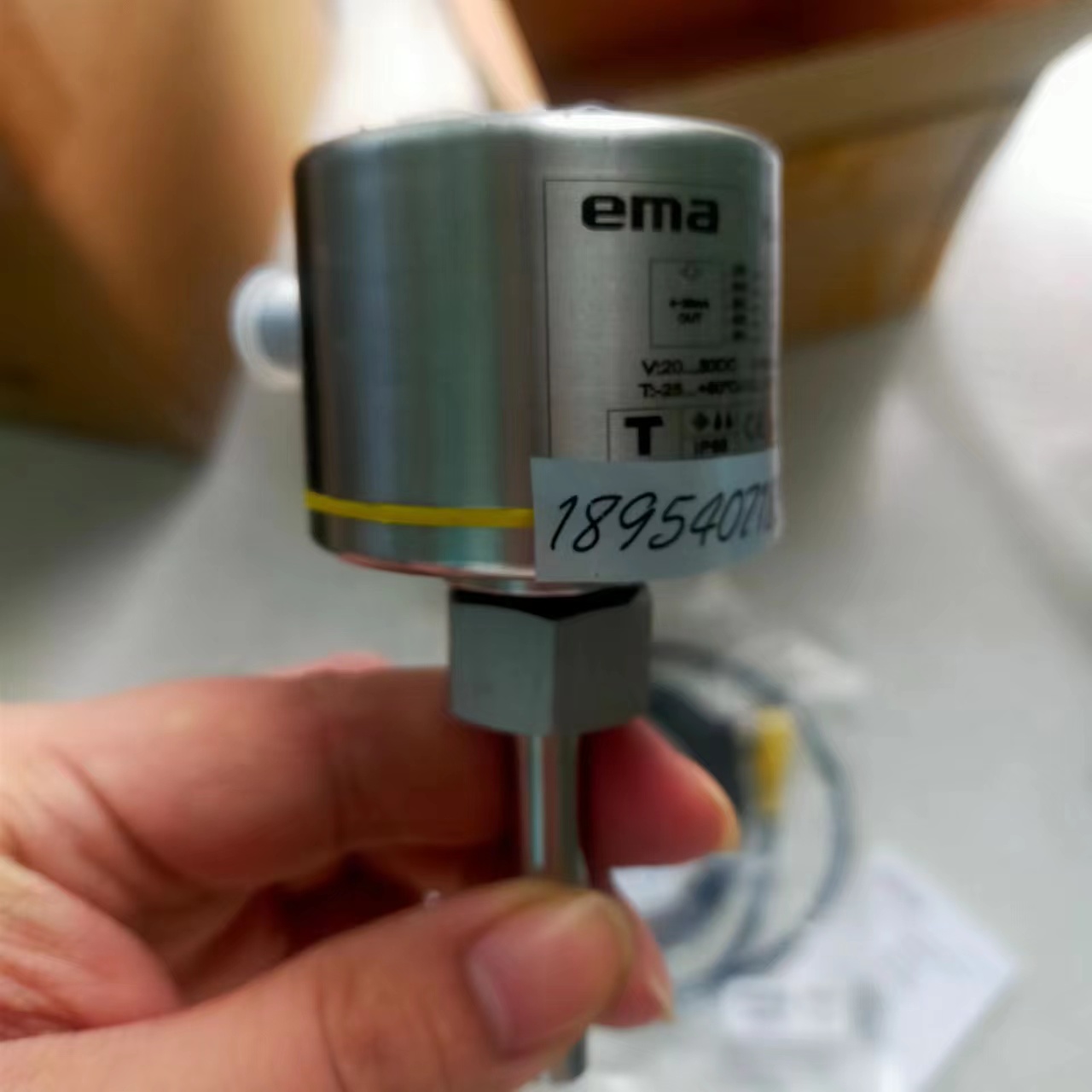 EMA伊瑪FL6101防腐型流動傳感器