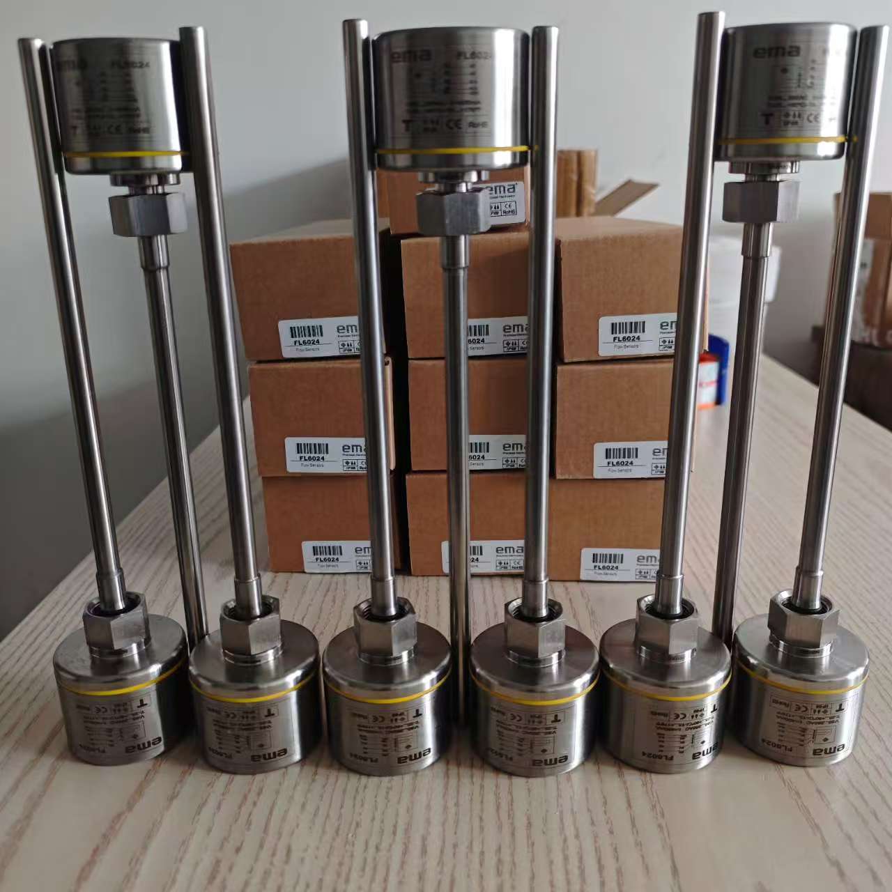 ema伊瑪FE6025防爆流量傳感器