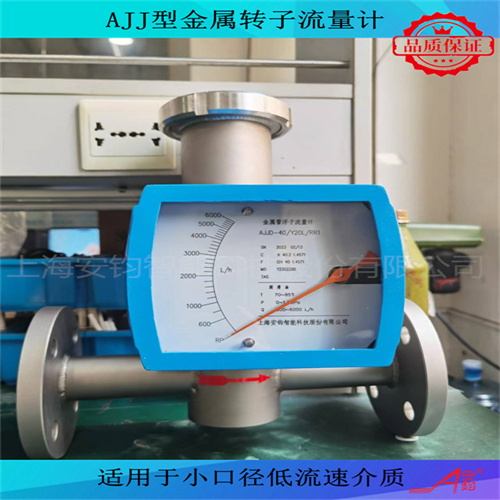電遠(yuǎn)傳型金屬轉(zhuǎn)子流量計(jì)DN80