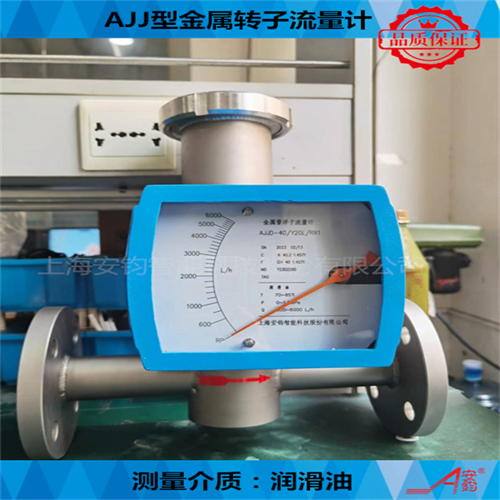電遠(yuǎn)傳型金屬管浮子流量計(jì)DN80