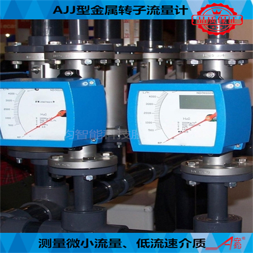 電遠(yuǎn)傳型金屬轉(zhuǎn)子流量計(jì)DN100