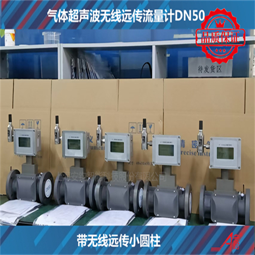 AS系列燃?xì)庥嬃繗怏w超聲波流量計DN150