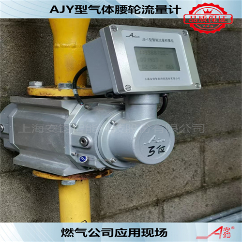 垂直安裝氣體腰輪流量計(jì)DN40