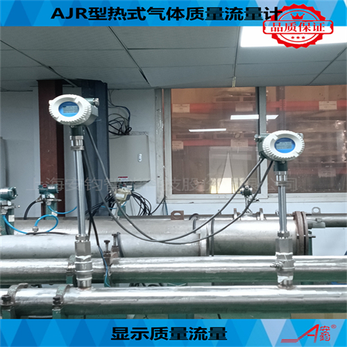 熱式氣體質(zhì)量流量計DN600測量壓縮空氣