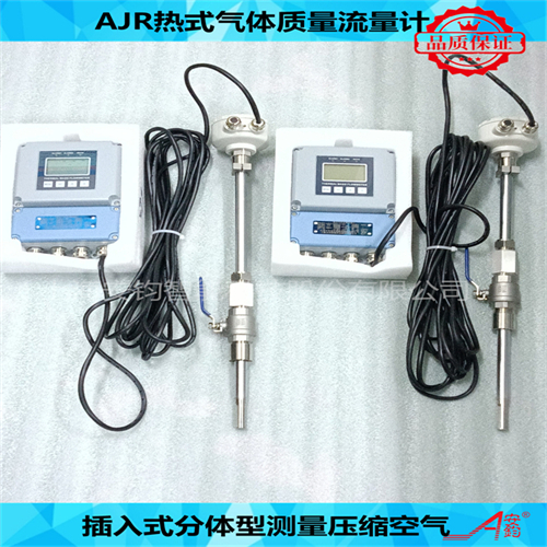 熱式氣體質(zhì)量流量計(jì)DN80測量壓縮空氣