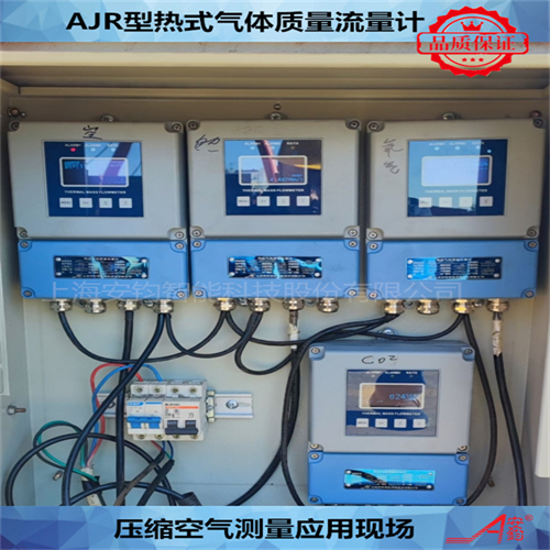 熱式氣體質(zhì)量流量計(jì)DN100測量壓縮空氣