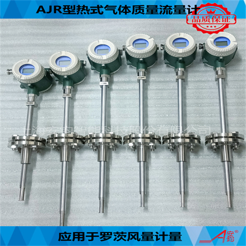 熱式氣體質(zhì)量流量計DN700測量壓縮空氣