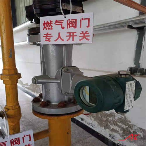 計量空氣旋進旋渦流量計DN65