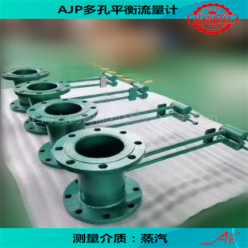 飽和蒸汽計量多孔平衡流量計DN1600