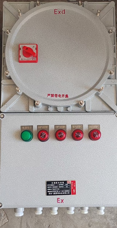 分析小屋PLC防爆箱