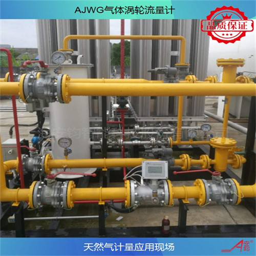 高精度AJWG型氣體渦輪流量計(jì)