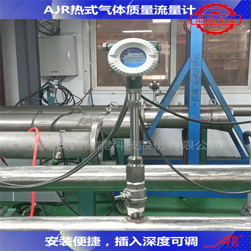 熱式氣體質(zhì)量流量計DN450測量壓縮空氣