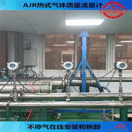 熱式氣體質(zhì)量流量計DN450測量壓縮空氣