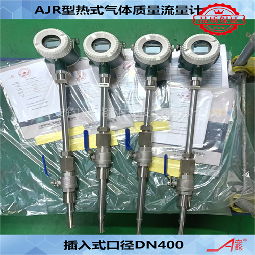 熱式氣體質量流量計DN500測量壓縮空氣