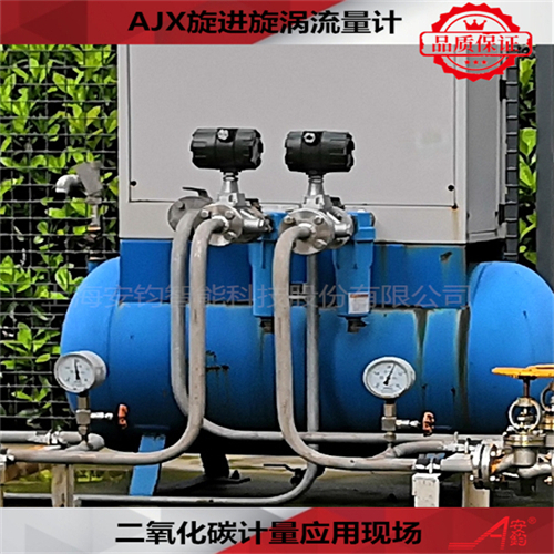 計量煤氣旋進(jìn)旋渦流量計DN32