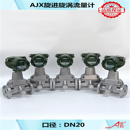 計(jì)量煤氣旋進(jìn)旋渦流量計(jì)DN20