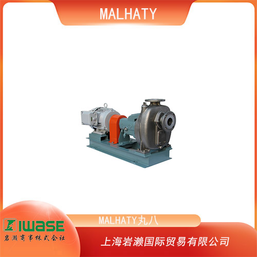 MALHATY丸八 高揚(yáng)程規(guī)格不銹鋼自吸式離心泵 2FIS-16