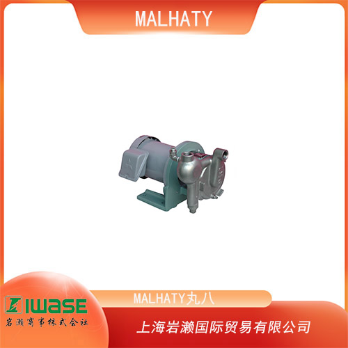 MALHATY丸八  不銹鋼自吸式小型泵 MSM2-32FR 