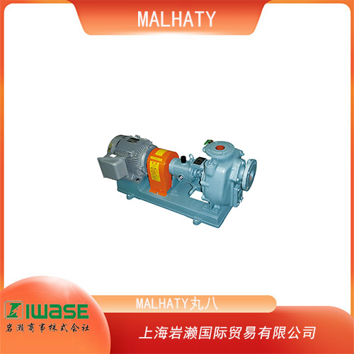 MALHATY丸八 非自吸型復(fù)疊式聯(lián)軸器直聯(lián)泵 2CB2-27M