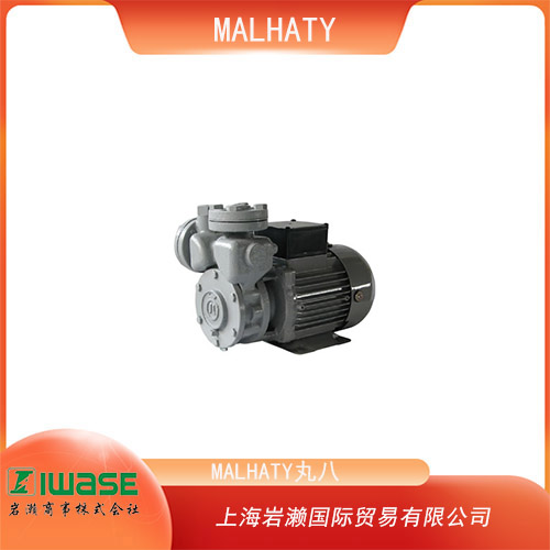 MALHATY丸八 多用途小型復(fù)疊電動泵 2CJS型