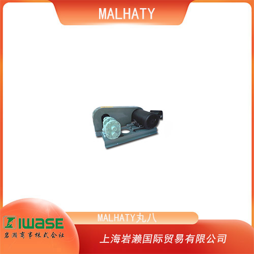 MALHATY丸八 高粘度液體用齒輪泵 OR型