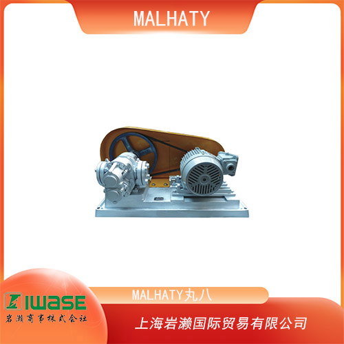 MALHATY丸八 腐蝕性液體輸送用齒輪泵 HG-32型