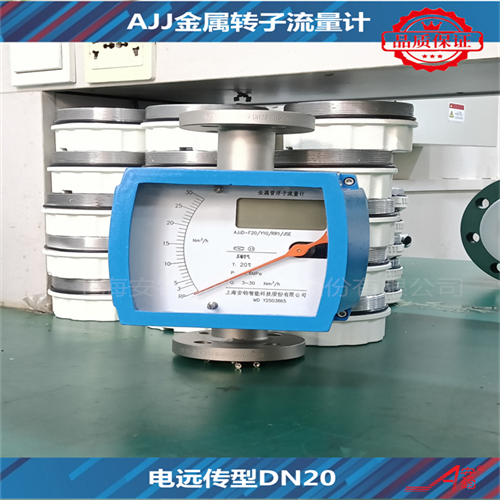 電遠(yuǎn)傳型金屬管浮子流量計DN50