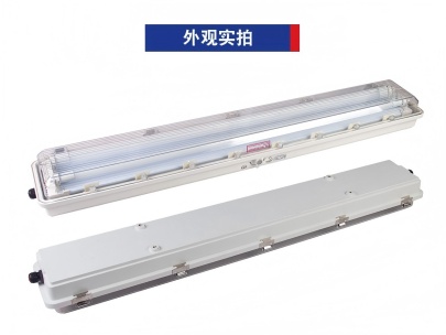 HRY91-Q防爆防腐全塑LED熒光燈
