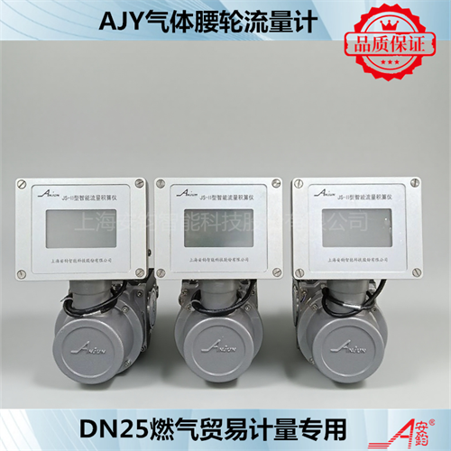 燃?xì)庥?jì)量羅茨流量計(jì)DN80