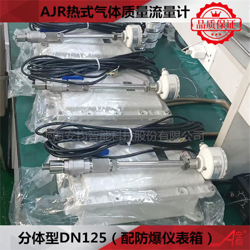 熱式氣體質(zhì)量流量計DN2400測量壓縮空氣