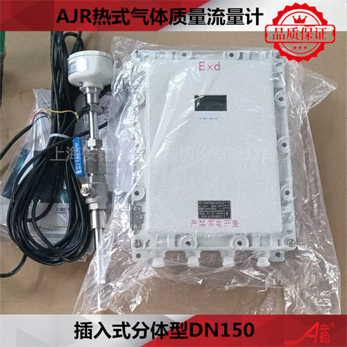 熱式氣體質(zhì)量流量計DN2400測量壓縮空氣