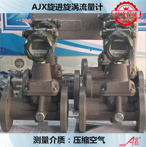 計量氫氣旋進旋渦流量計DN200