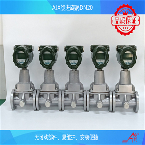 計(jì)量煤氣旋進(jìn)旋渦流量計(jì)DN20