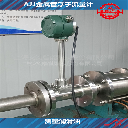 渦街流量計計量蒸汽DN25
