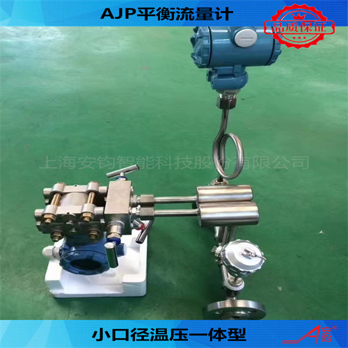 蒸汽計量多孔平衡流量計DN150