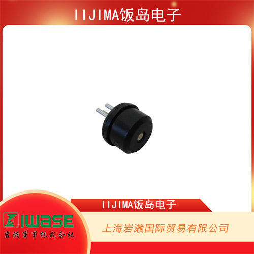 IIJIMA飯島電子痕量氧分析儀用氧氣傳感器 WA-BRM