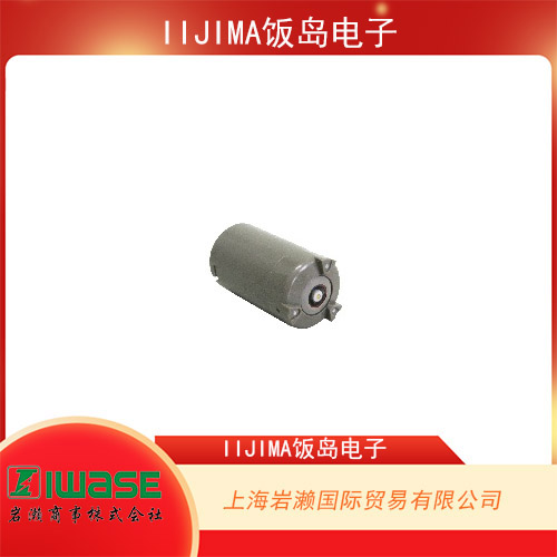 IIJIMA飯島電子 殘余氧氣計用氧氣傳感器 WA-BRM5