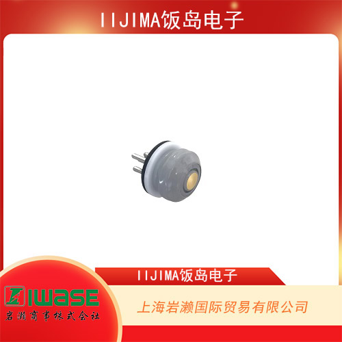 IIJIMA飯島電子 DO控制器用氧氣傳感器 WA-SWM