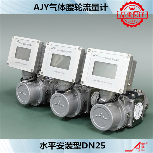 燃?xì)庥?jì)量羅茨流量計(jì)DN150