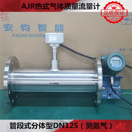 熱式氣體質(zhì)量流量計DN32測氮氣